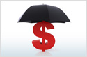 Loan Insurance Scheme