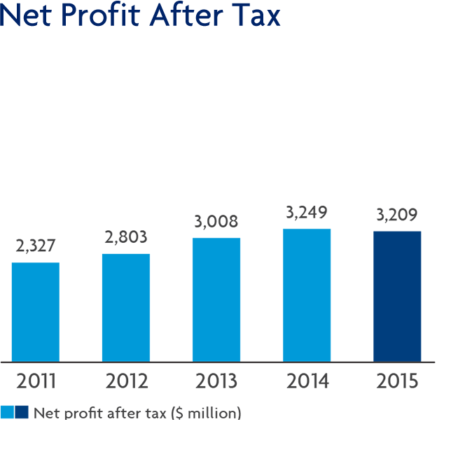 Net Profit After Tax