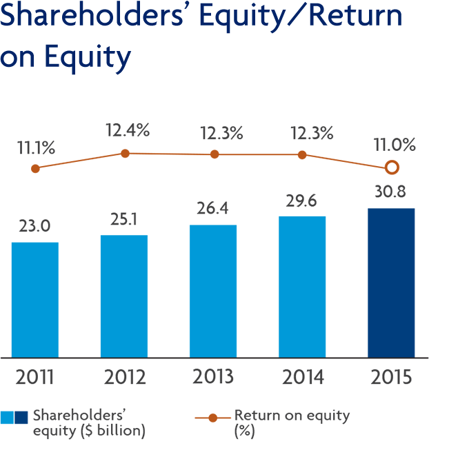 Shareholders’ Equity/Return on Equity