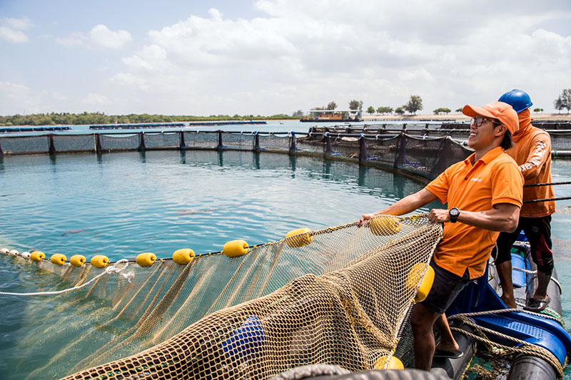 Workers move their fishing nets