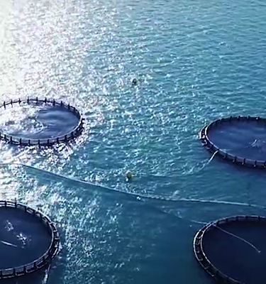 Barramundi Group – Forging a sustainable future