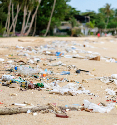 Ini alasan kolaborasi di wilayah ASEAN sangat penting untuk mengatasi sampah plastik di laut