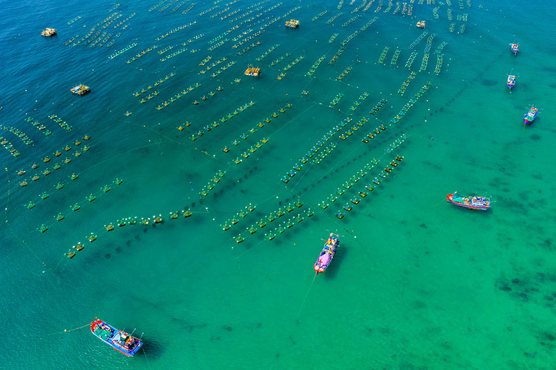 A shrimp and lobster farm