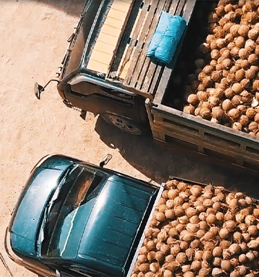 Linaco – Expanding a supply chain