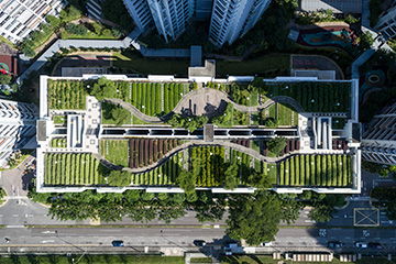 are singapore businesses ready for a low-carbon future? 