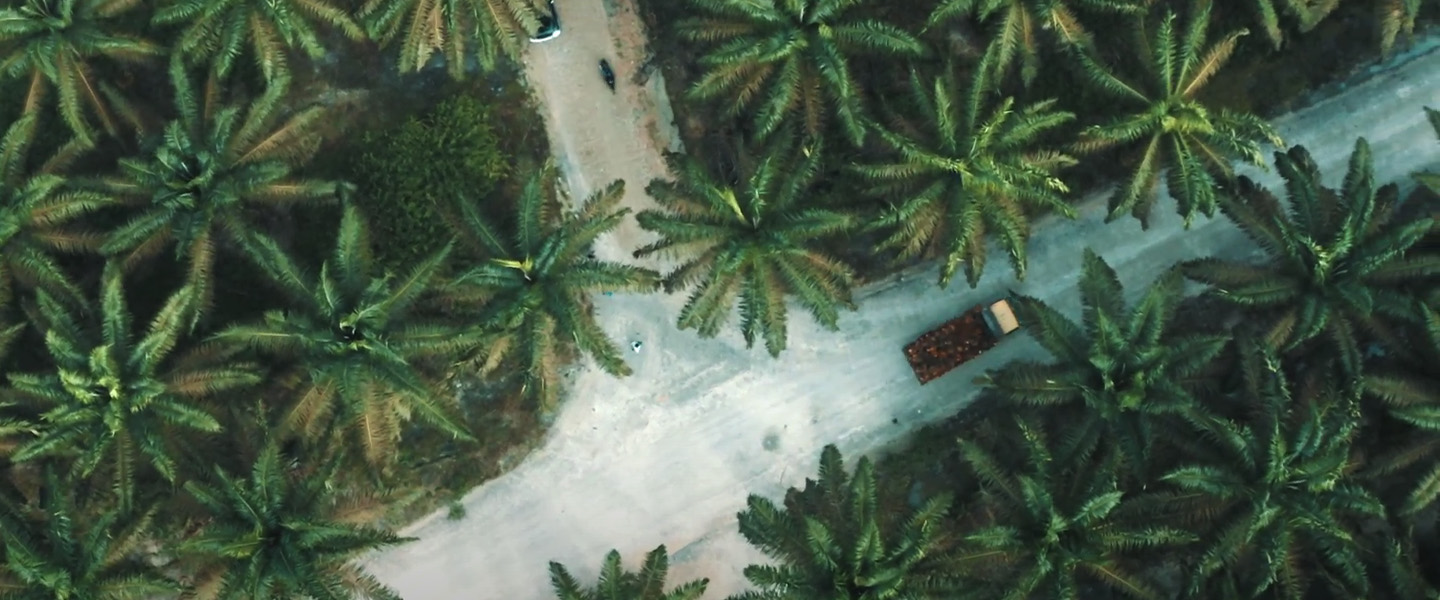 Musim Mas – Simplifying sustainability for business