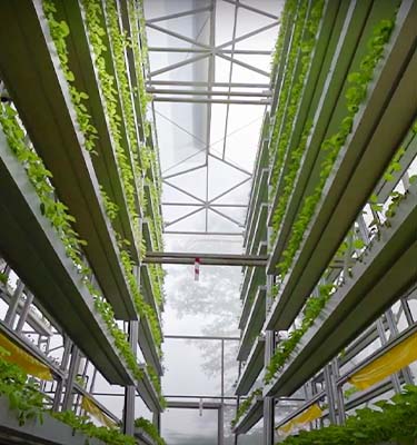 Sky Greens – Engineering the future of farming