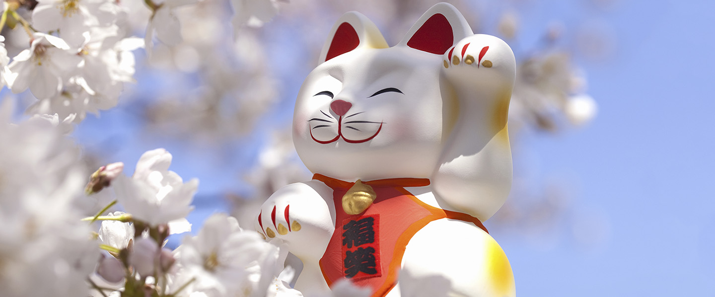 Why are Japanese brands so popular in Southeast Asia?