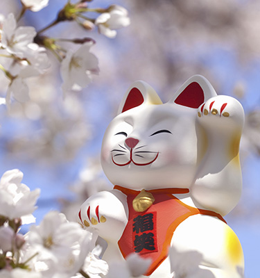 Why are Japanese brands so popular in Southeast Asia?