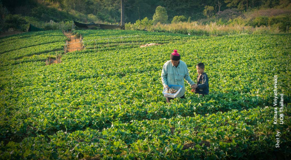 Farmer and son in a plantation