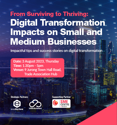 From Surviving to Thriving: Digital Transformation Impacts on Small and Medium Businesses