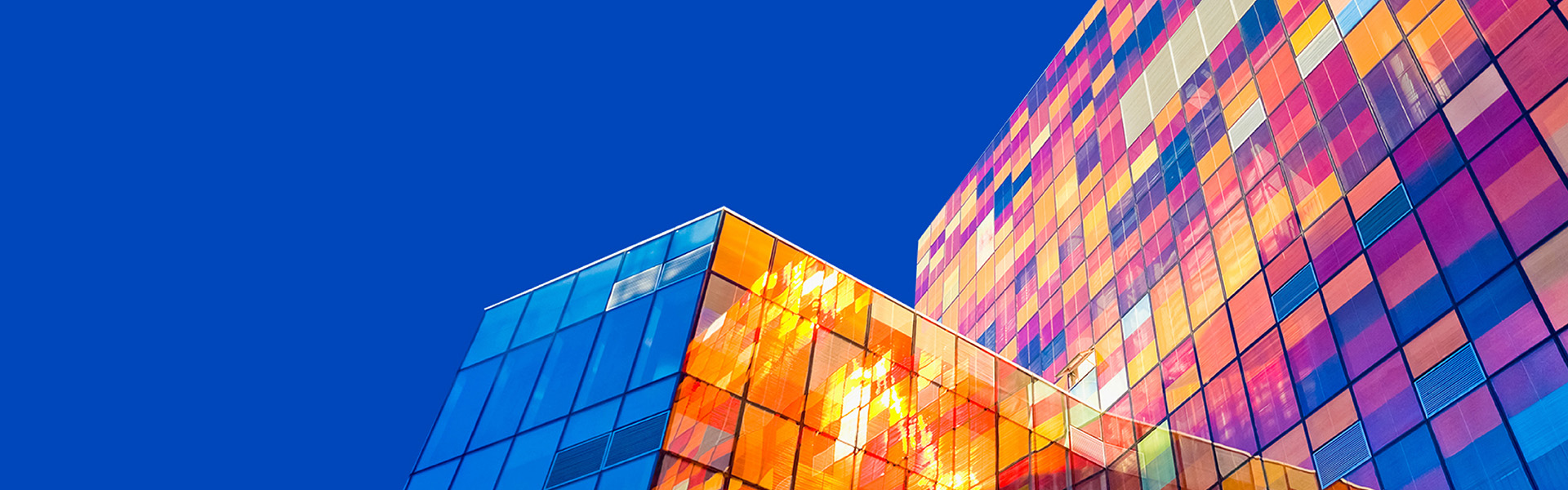 Connect to Digital, AI and business networks