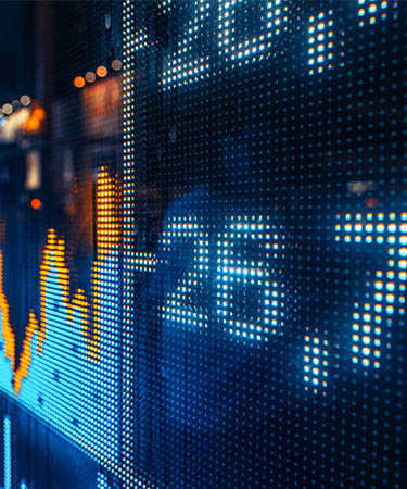 Wealth insights