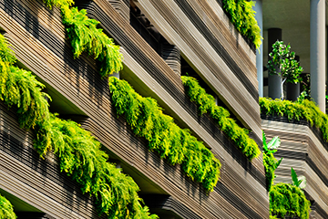 decarbonising the built environment