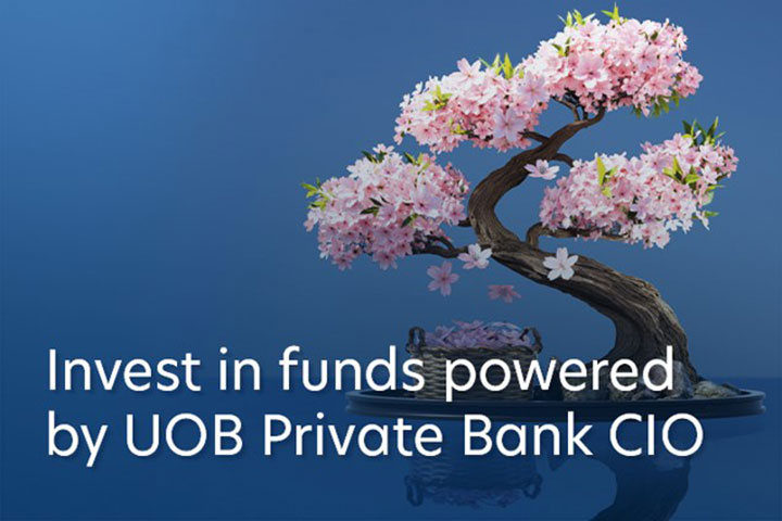 United CIO Funds