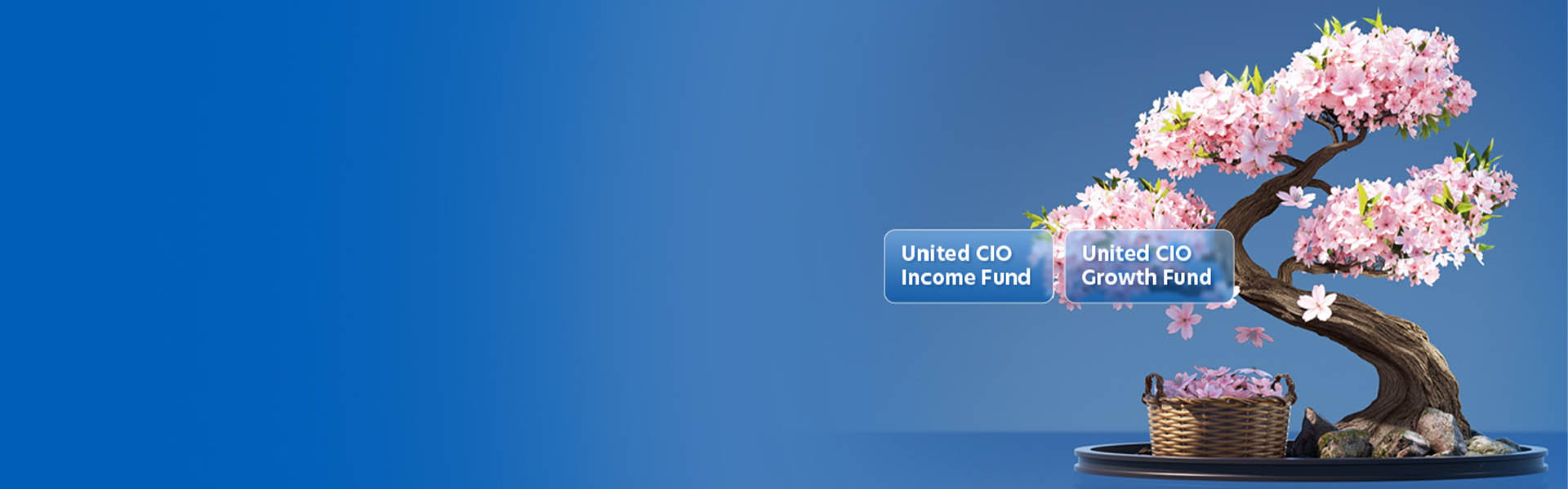 Invest in the United CIO funds