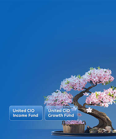 Invest in the United CIO funds