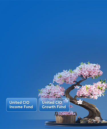 Invest in the United CIO funds