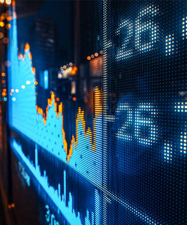 Wealth Insights