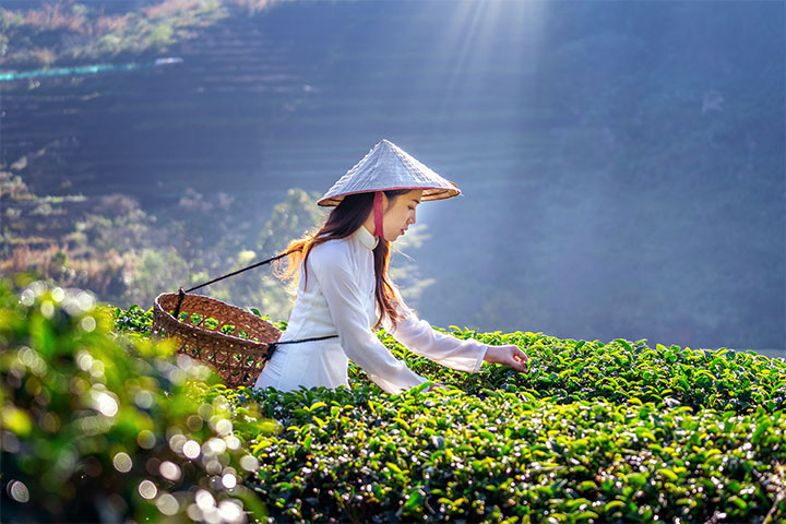 Recent perspectives on regional labour market