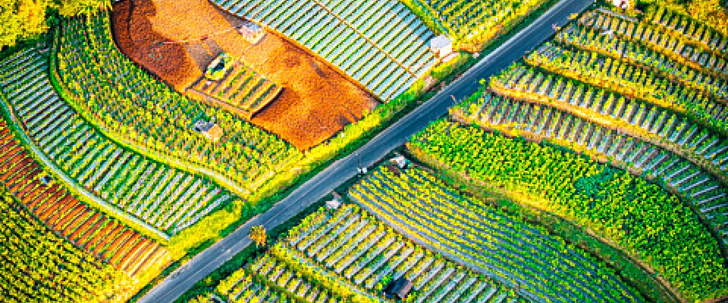 Indonesia: Macro Impact from US Reciprocal Tariffs