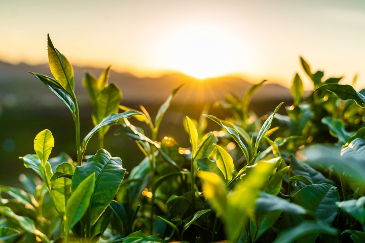 Global Markets Economic Forum 2025