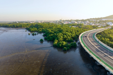 /Driving Southeast Asia’s great green transition