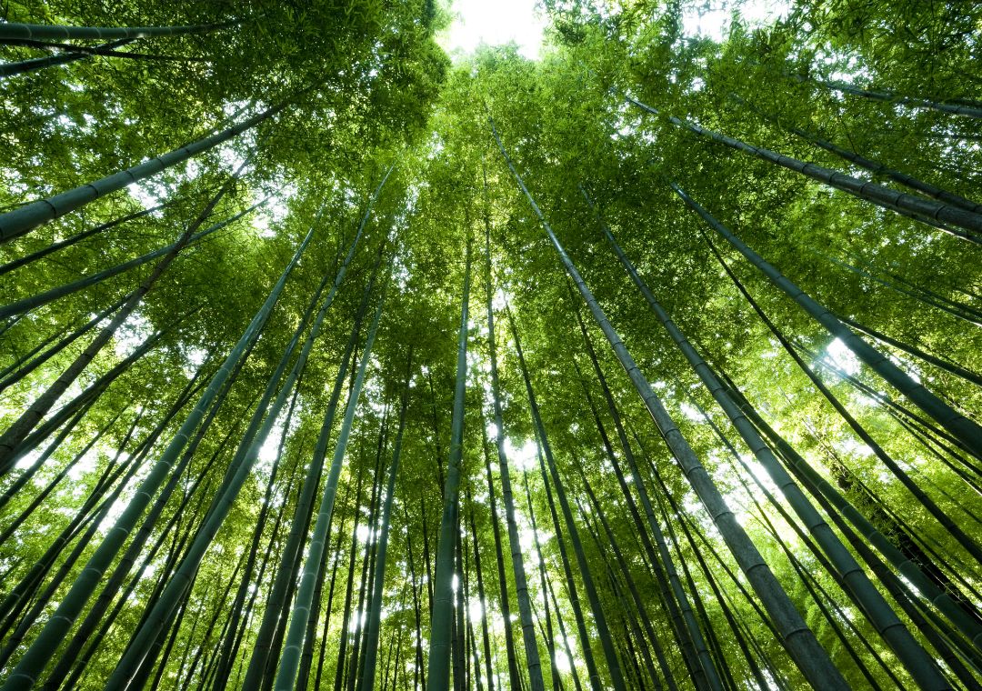Building A Sustainable ASEAN