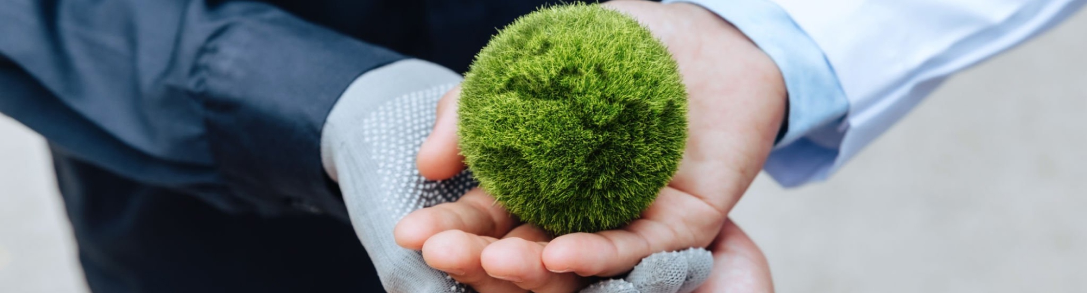 Connecting SMEs through the UOB SAGE Programme