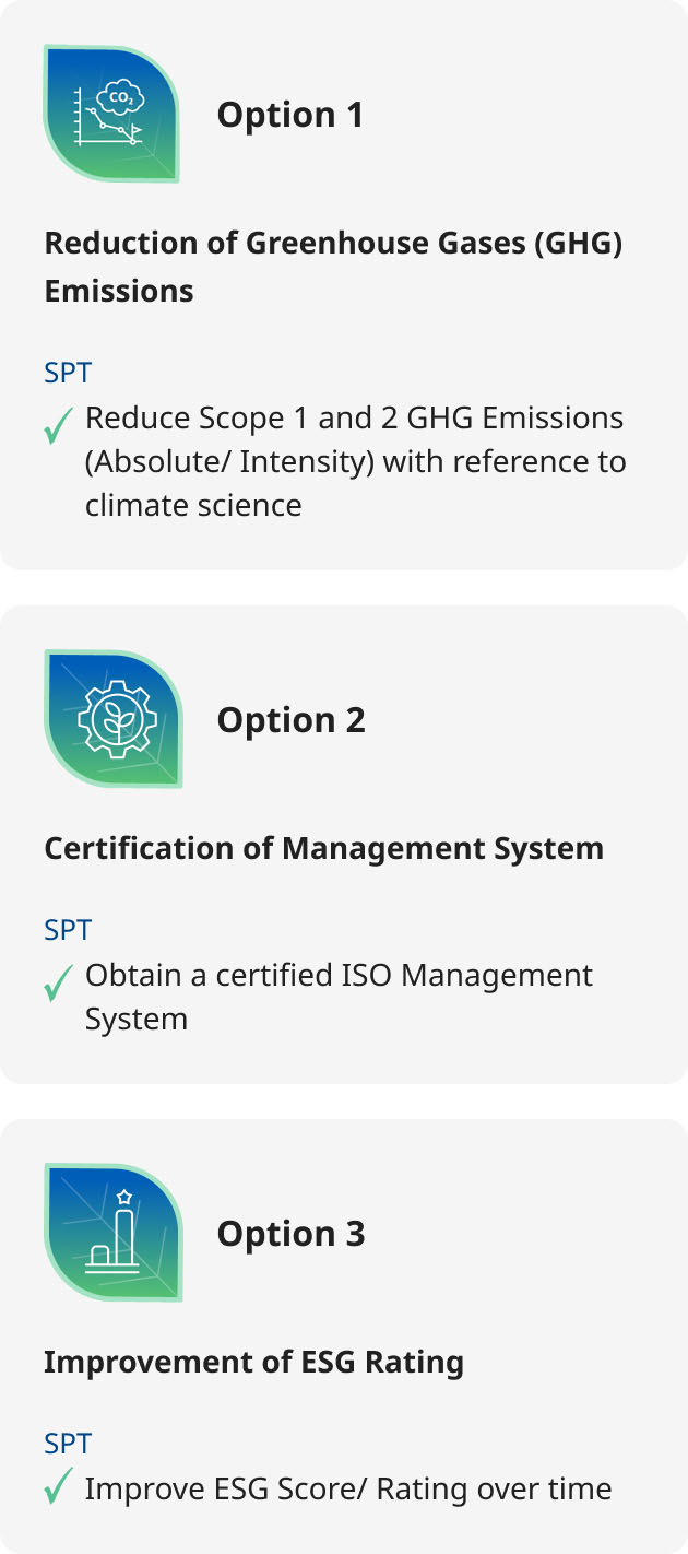 Choose from our selection of Sustainability Performance Targets (SPTs) options and advance towards sustainability