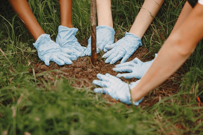 Every purchase of My Green Credits contributes to the OneMillionTrees movement