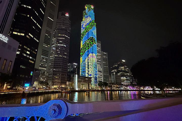 /Cavenagh Bridge