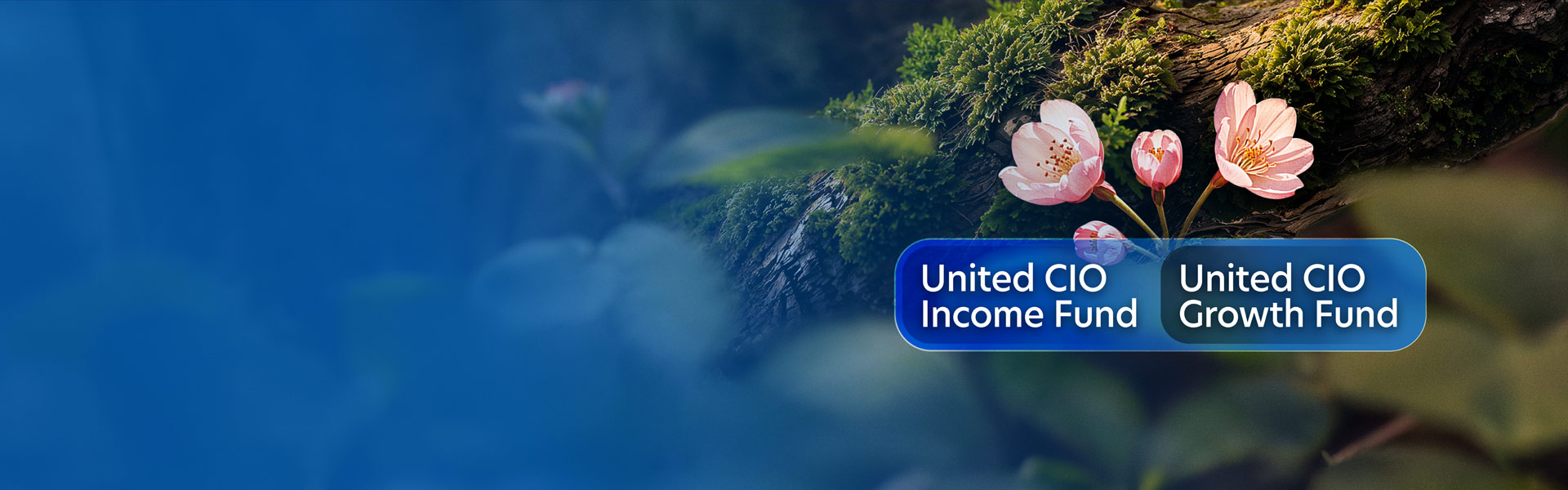 Invest in the United CIO funds