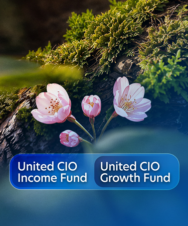 Invest in the United CIO funds