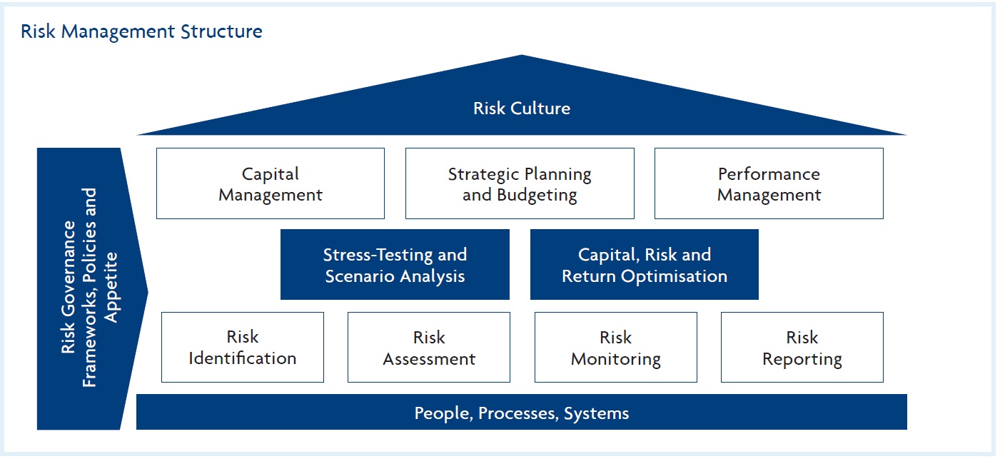 Risk Management Structure