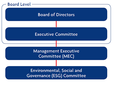 Sustainability Governance Structure