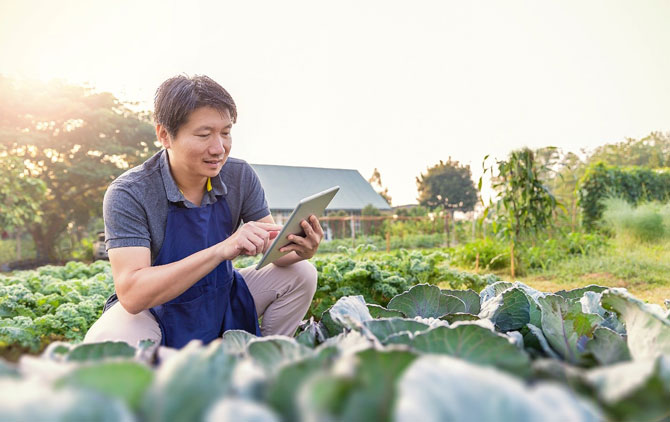 Circular business models can help SMEs reduce their dependence on limited resources and build lasting products.