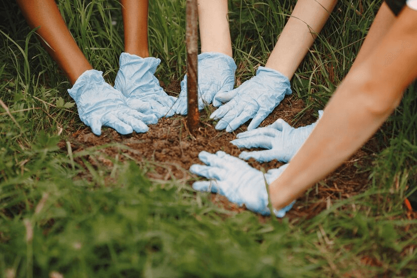 Every purchase of My Green Credits contributes to the OneMillionTrees movement.