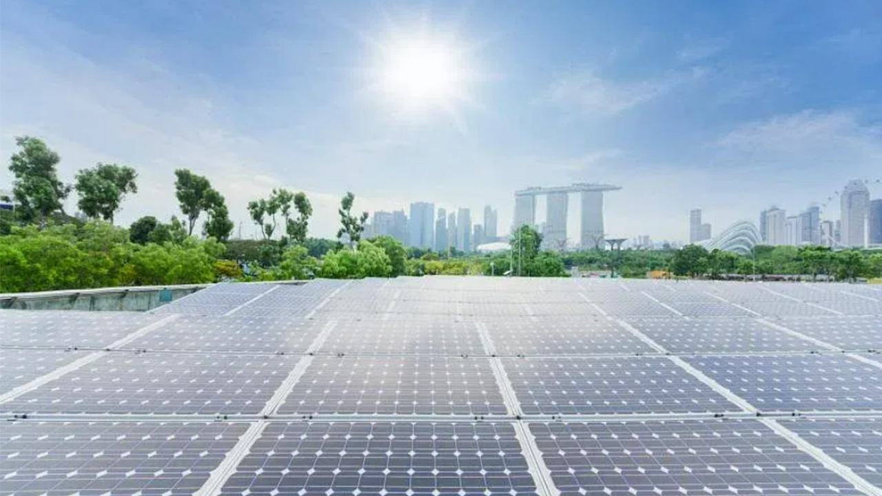 Solar financing programme helps businesses and homeowners make every rooftop count