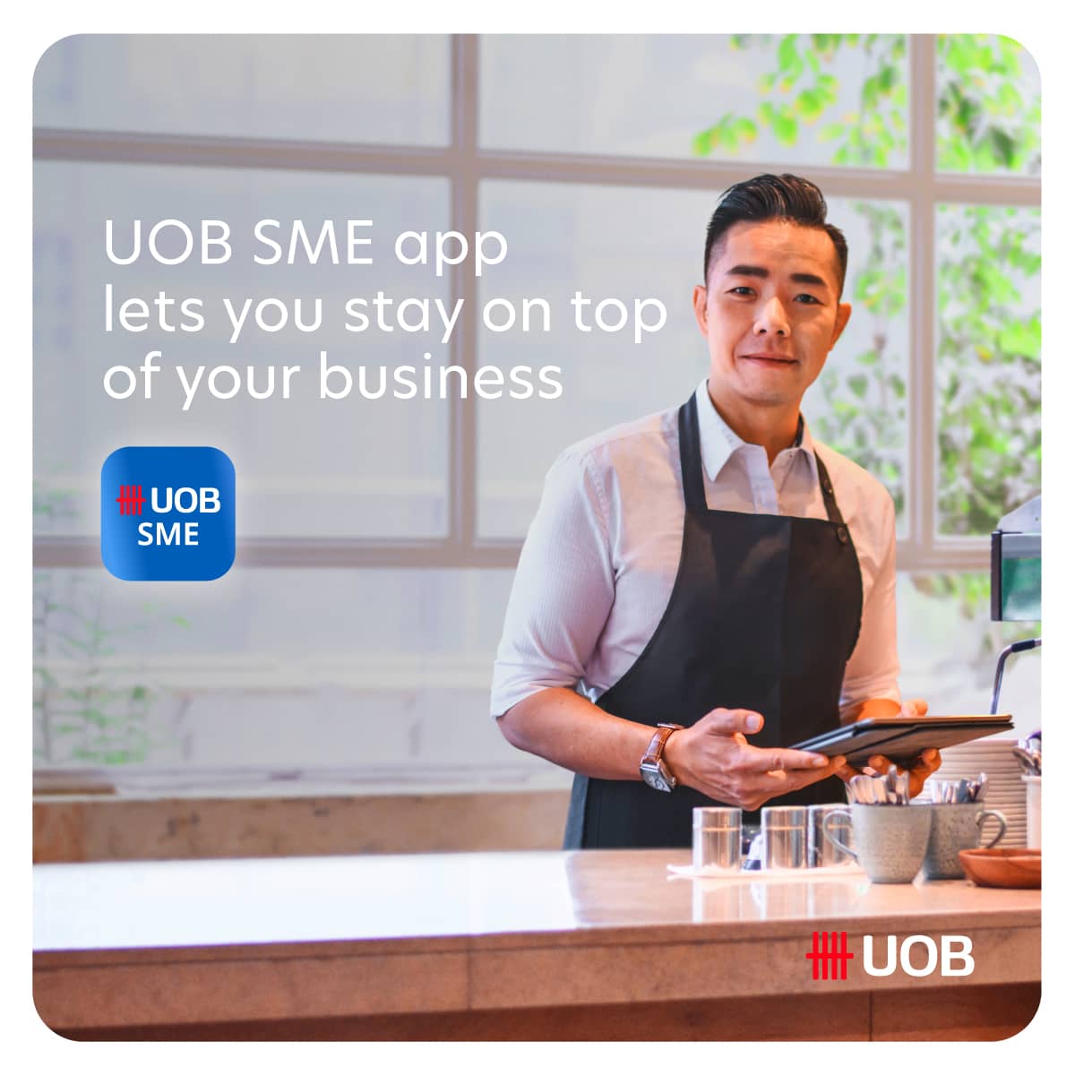 UOB SME app
