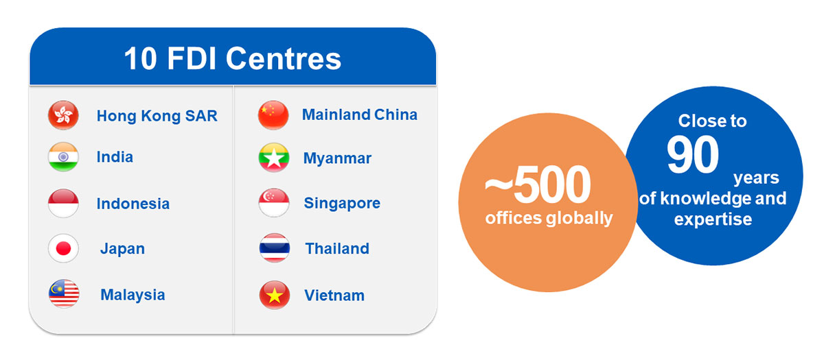 Foreign Direct Investment Advisory