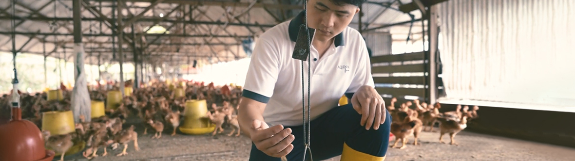 Boong Group Digitalising traditional Business