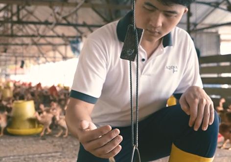 Boong Group Digitalising traditional Business