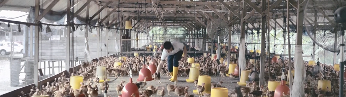 Boong Group Digitalising traditional Business