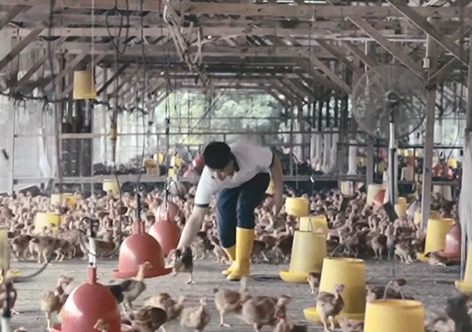 Boong Group Digitalising traditional Business