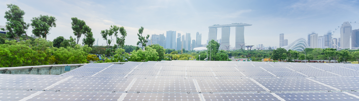 Singapore’s strategies for a low-carbon economy