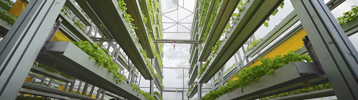 Wide shot of Sky Greens’ vertical farm hydraulic system