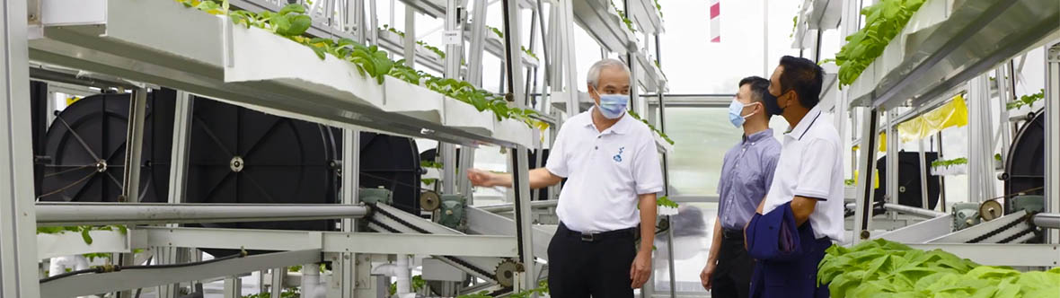 Jack Ng, founder of Sky Greens, explains how the farming technology work