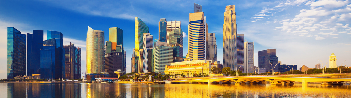 MAS survey forecasts higher GDP in 2021 