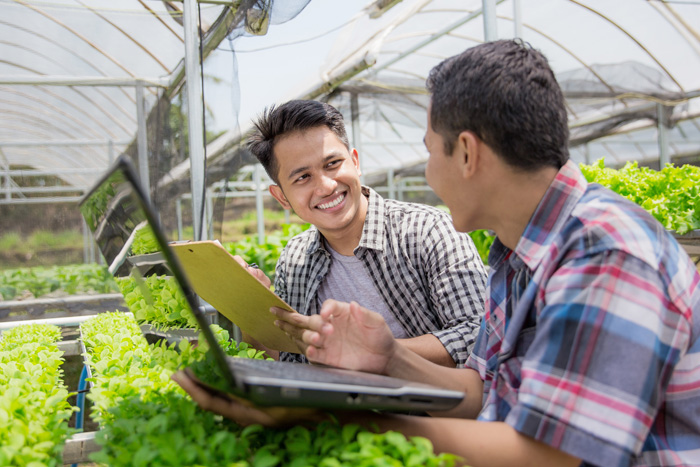 Two farmers having a discussion in a hydroponic farm